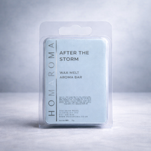 Load image into Gallery viewer, After the Storm