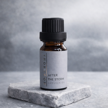 Load image into Gallery viewer, After the Storm