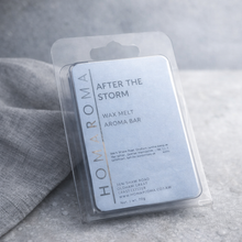 Load image into Gallery viewer, After the Storm