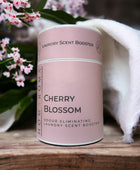 Cherry Blossom