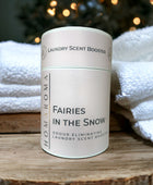 Fairies in the Snow