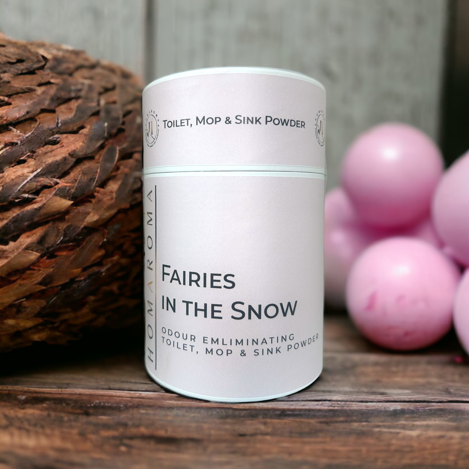 Fairies in the Snow