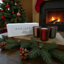 Load image into Gallery viewer, Winter