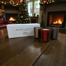 Load image into Gallery viewer, Winter