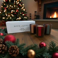 Load image into Gallery viewer, Winter